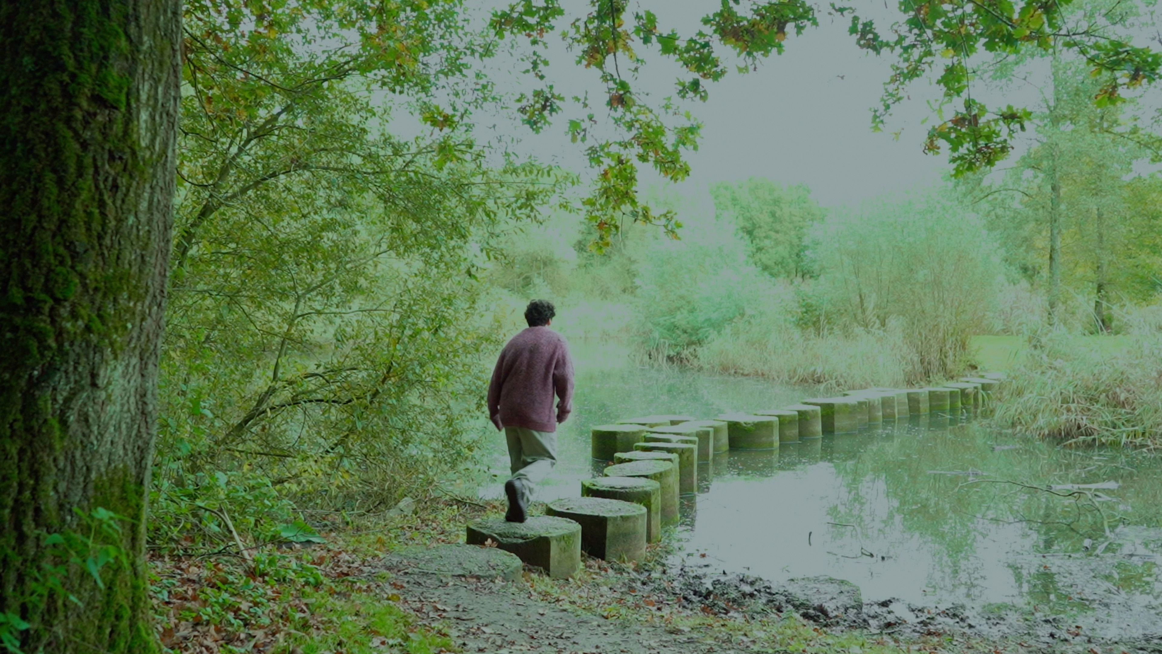 Backdrop for The Journey to The Main Program