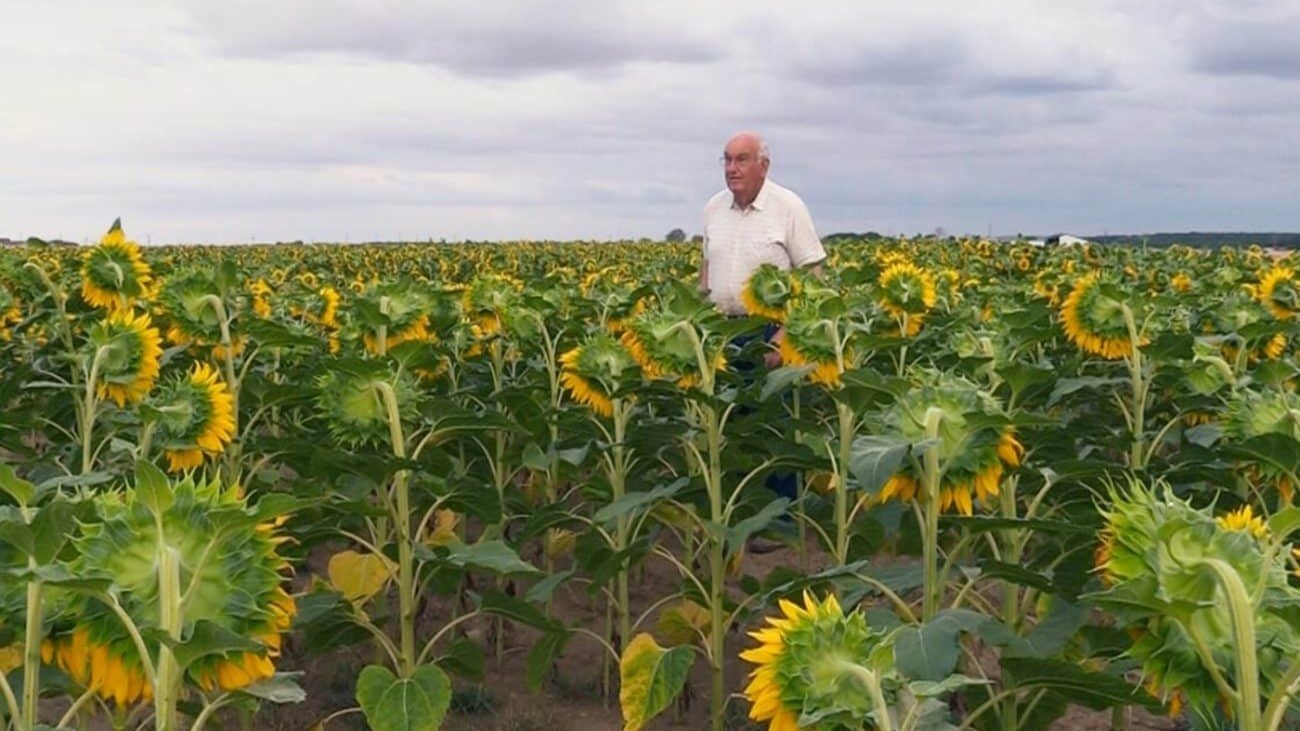 Backdrop for Beau comme un tracteur