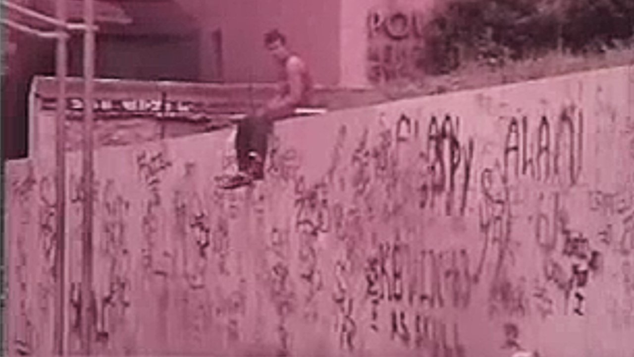 Backdrop for The Vandals