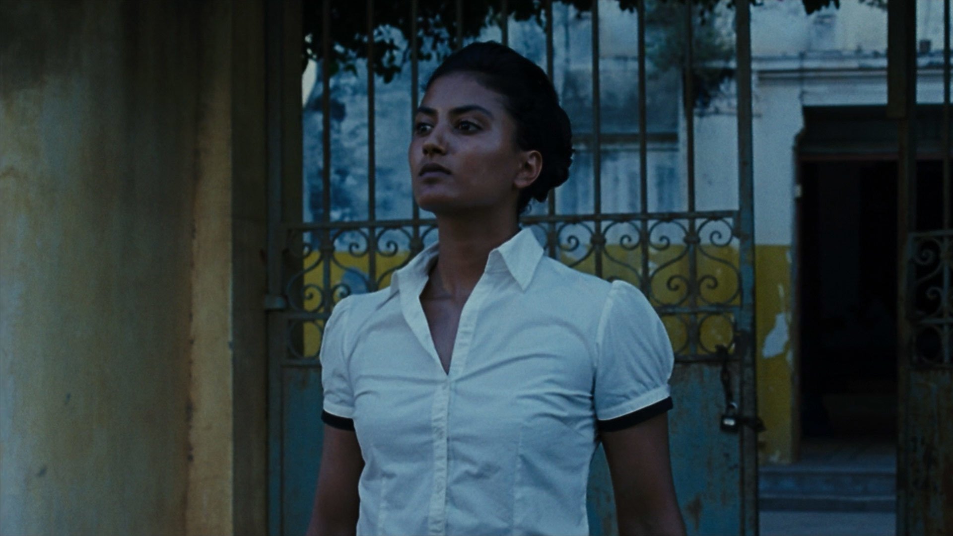 Backdrop for Almayer's Folly