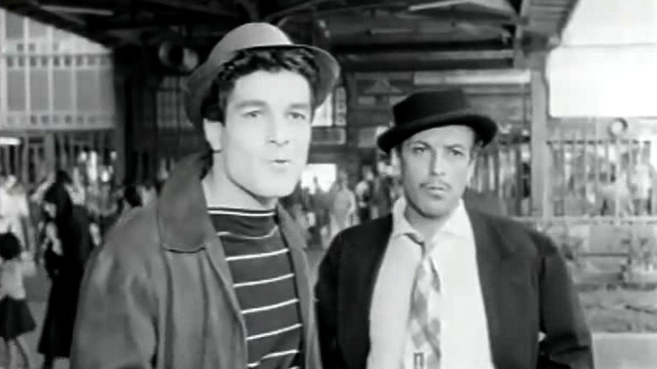 Backdrop for Afili Delikanlılar