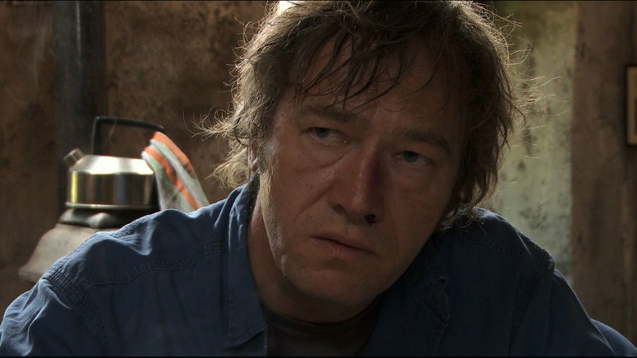 Backdrop for Animal Heart