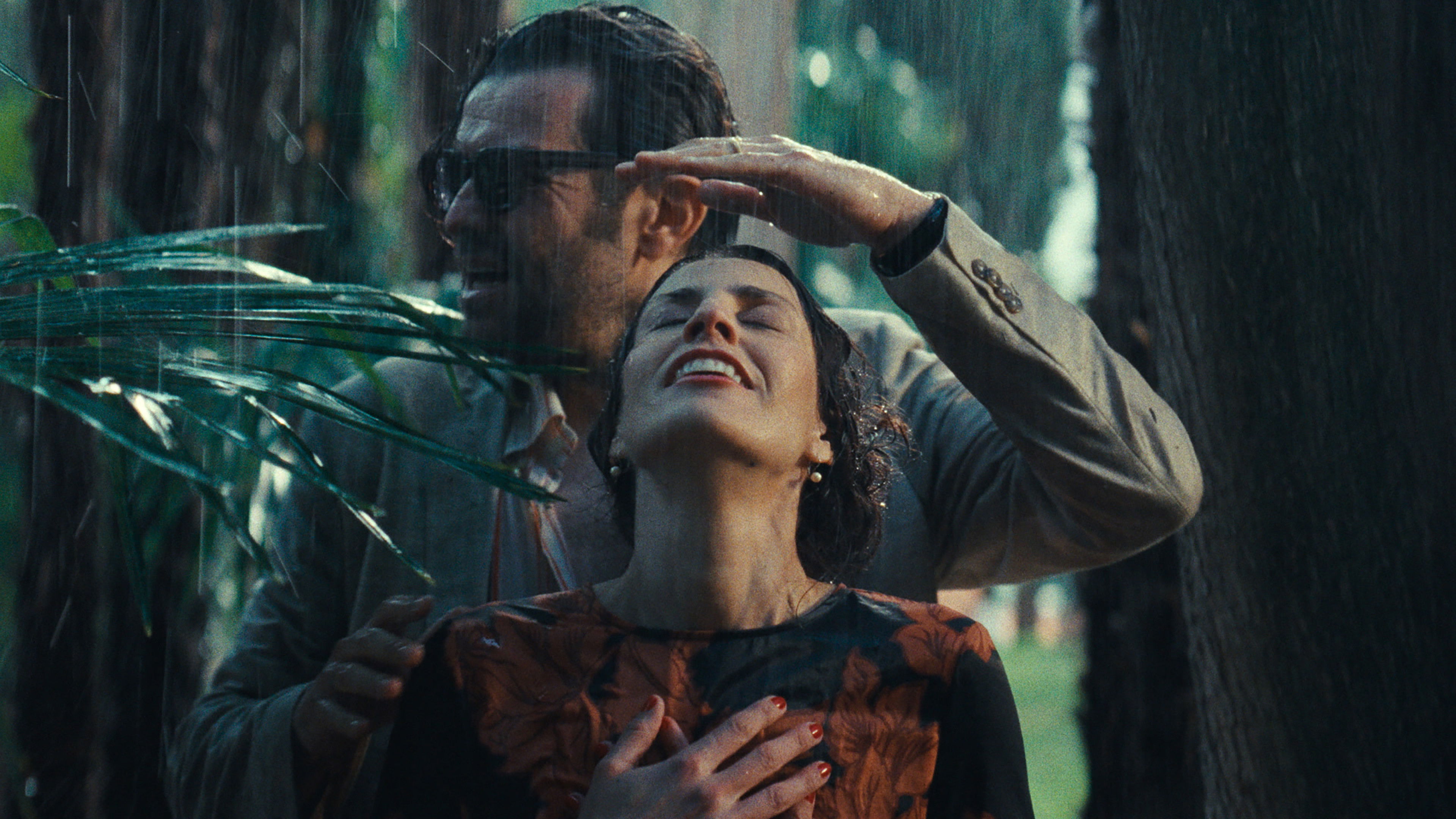 Backdrop for First Person Plural