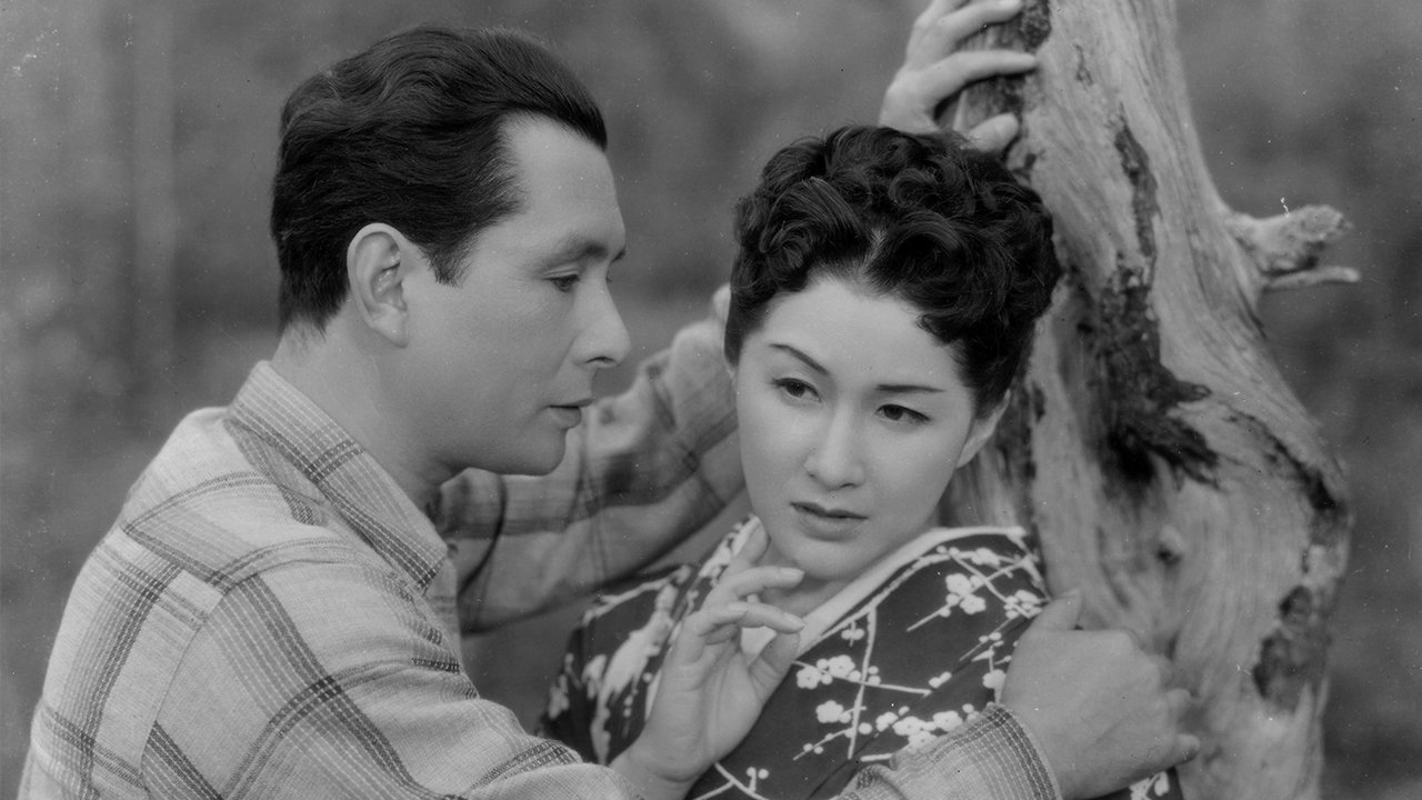 Backdrop for Sound in the Mist