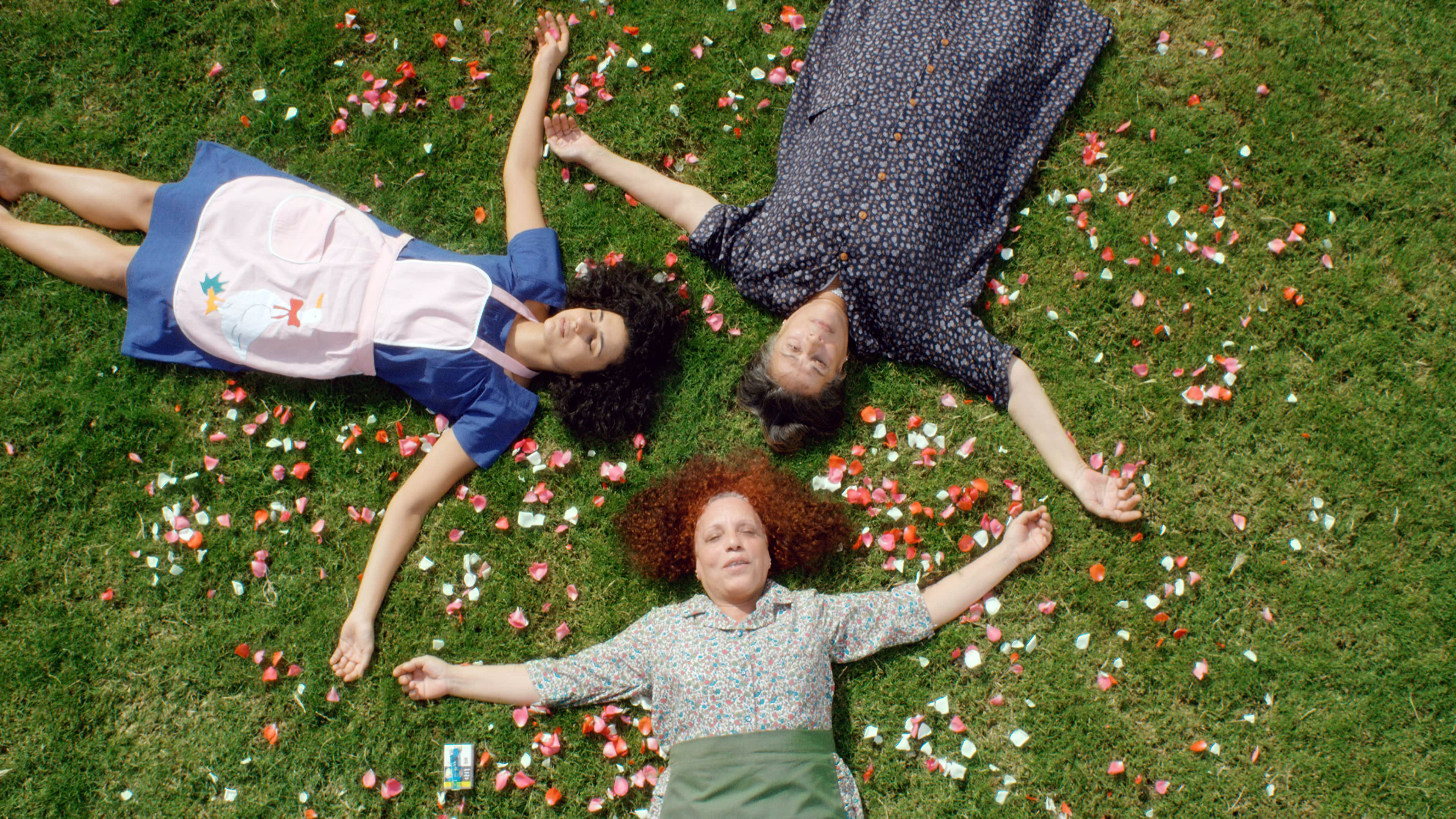 Backdrop for Cactus Flower