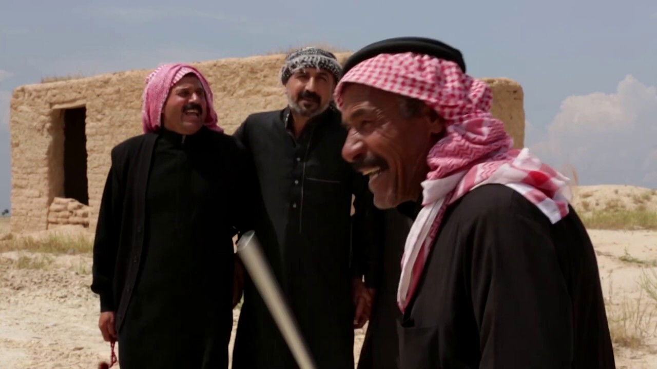 Backdrop for Lonely Trees