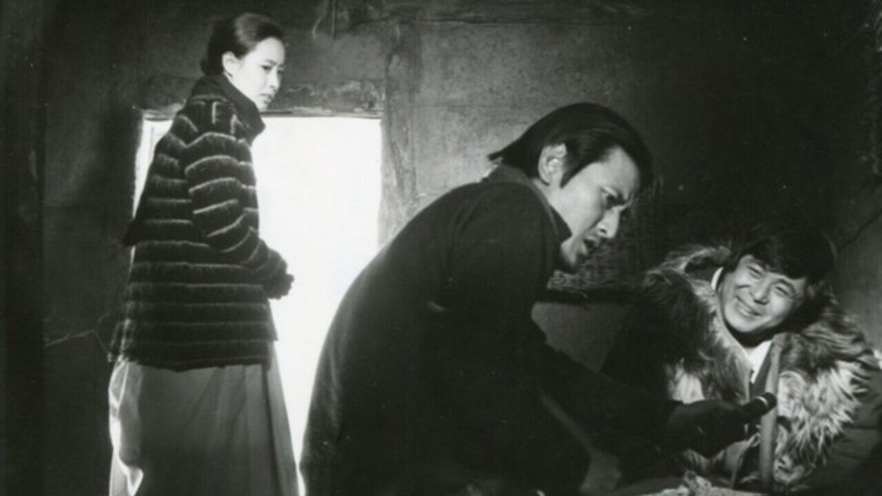 Backdrop for Wanderer