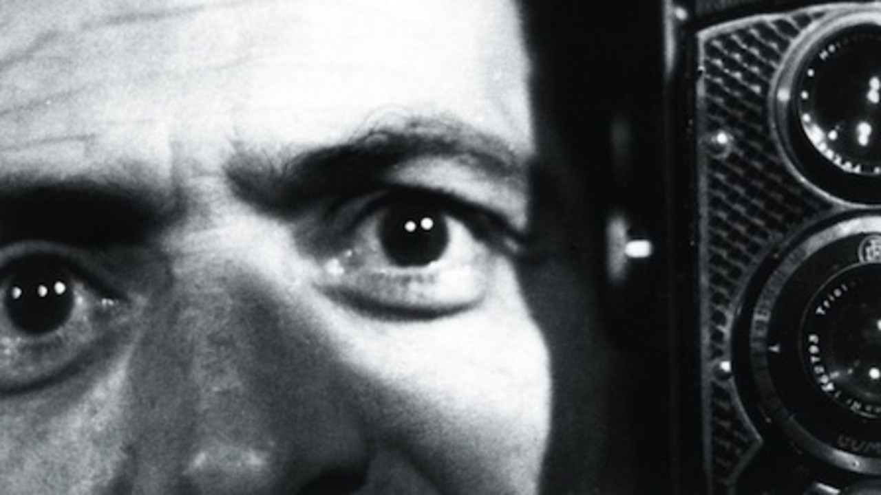 Backdrop for Lies of Love