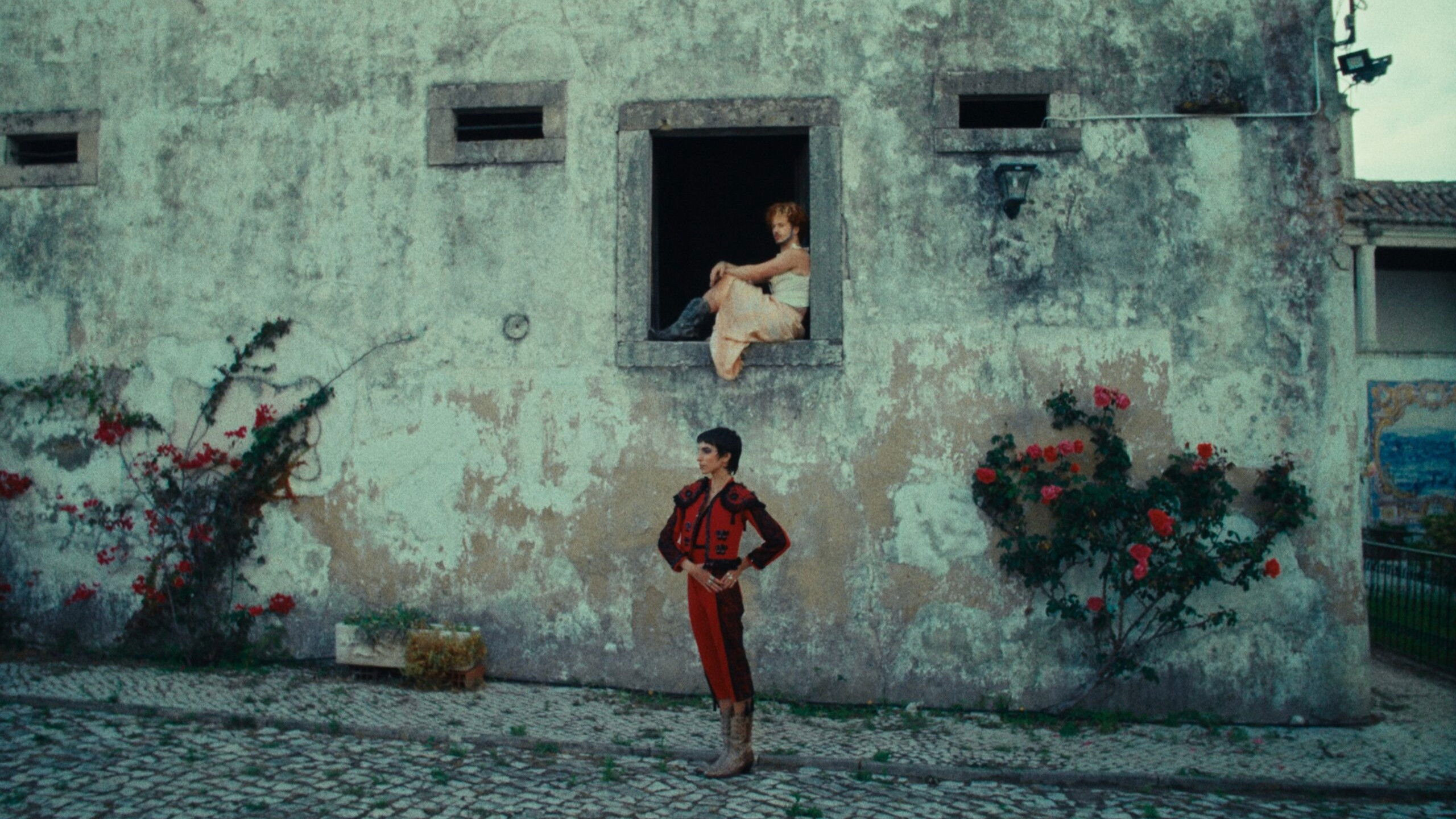 Backdrop for Tem Fé