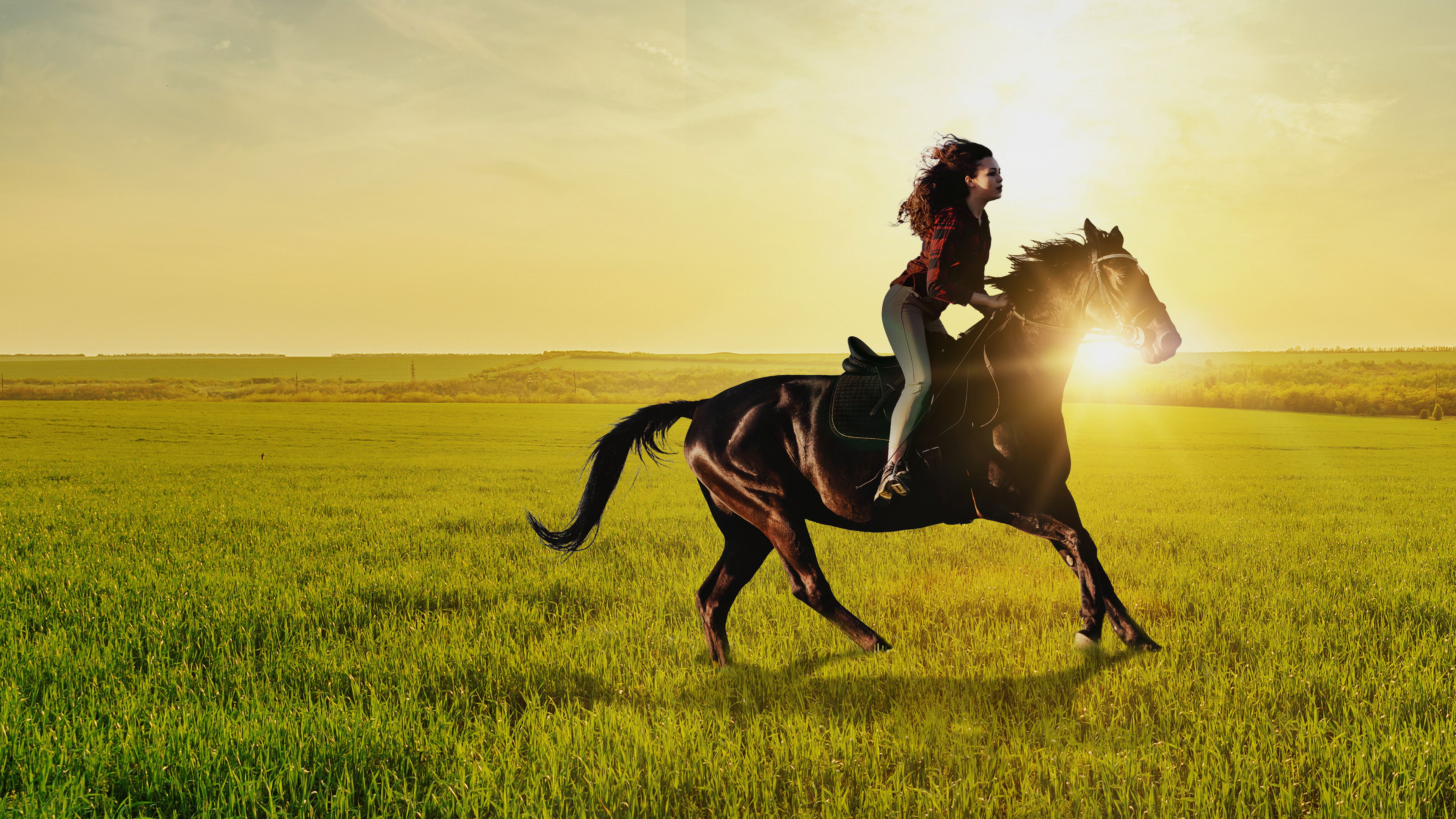 Backdrop for If I Could Ride