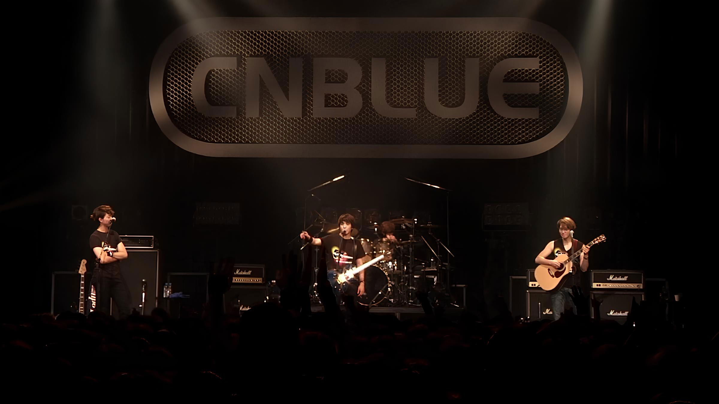 Backdrop for CNBLUE Zepp Tour 2013 ~Lady~