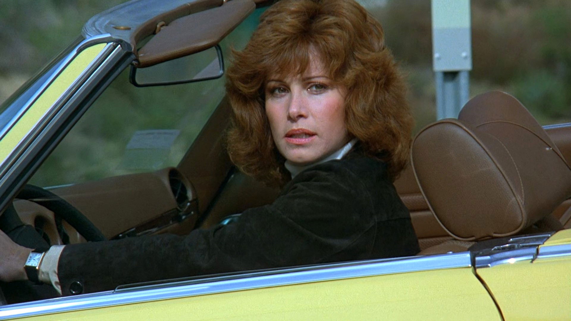 Backdrop for Hart to Hart