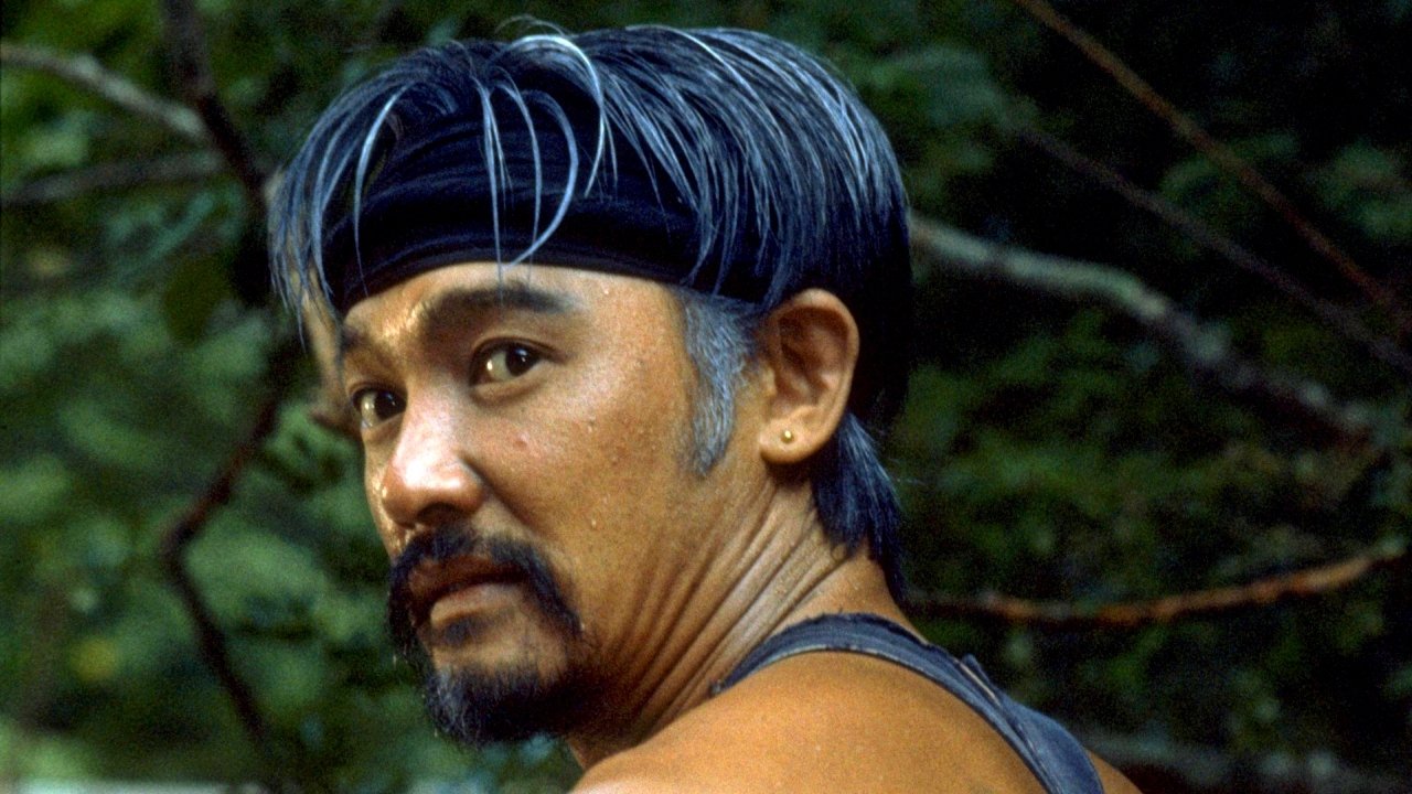 Backdrop for The Seburi Story