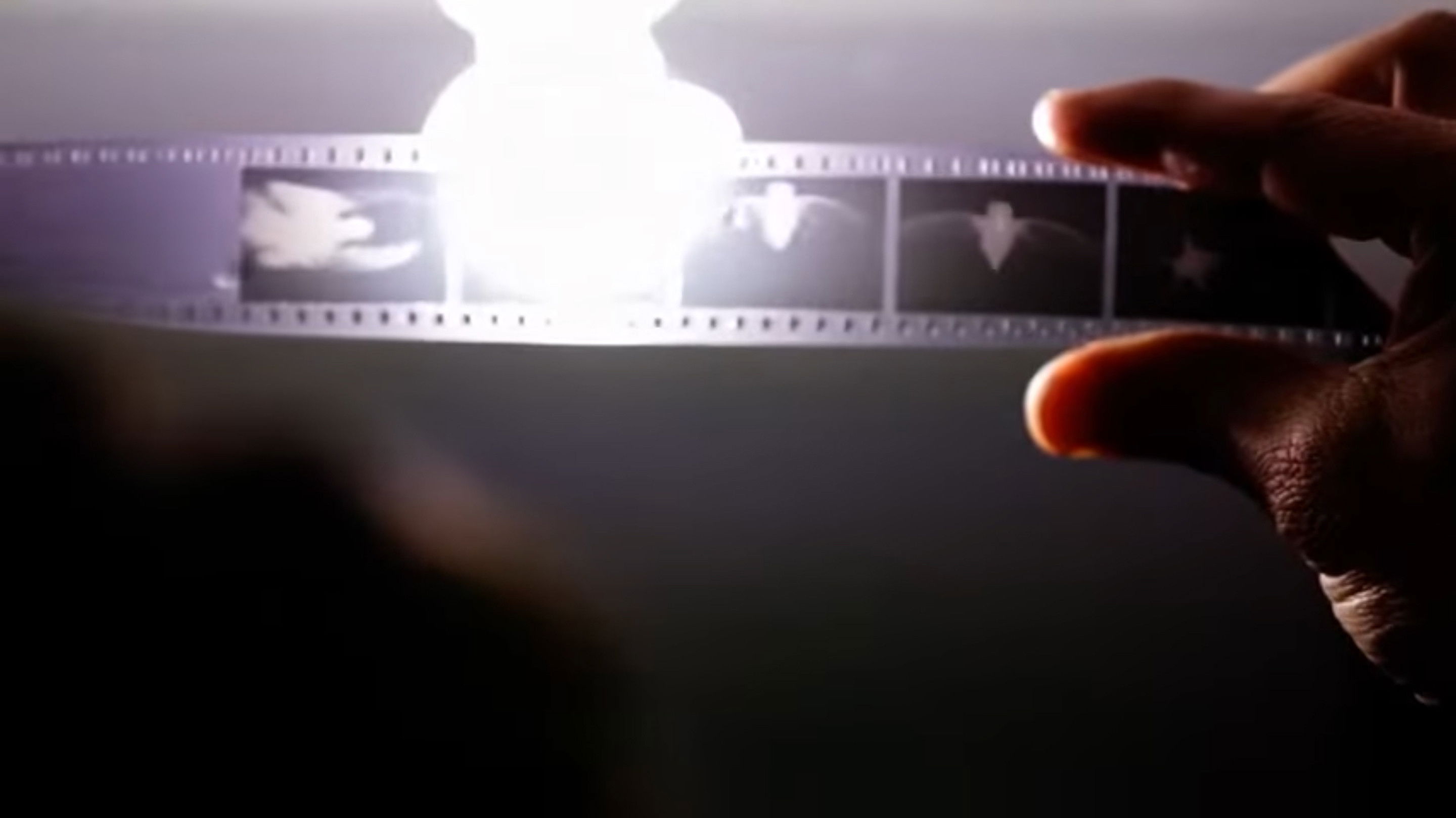 Backdrop for Trent Parke: The Black Rose