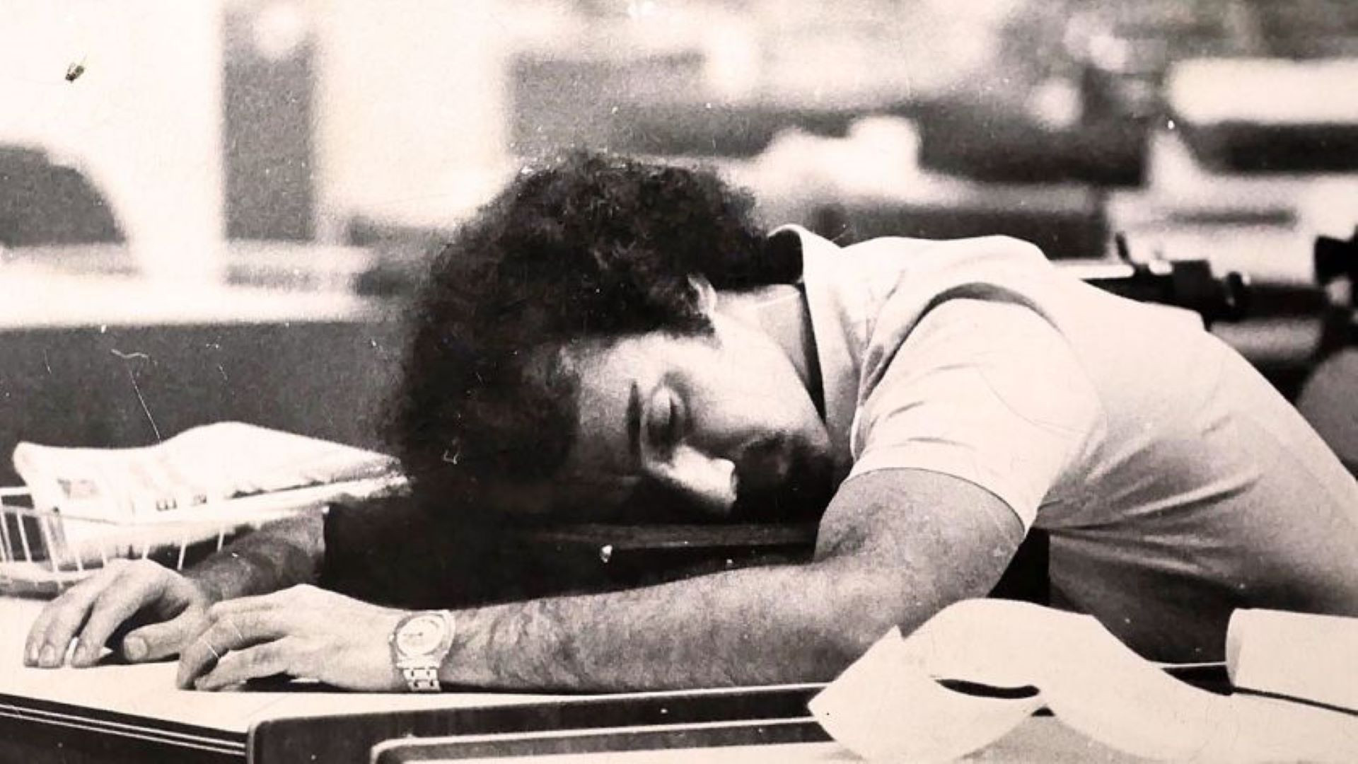 Backdrop for Amongst universally grey cats