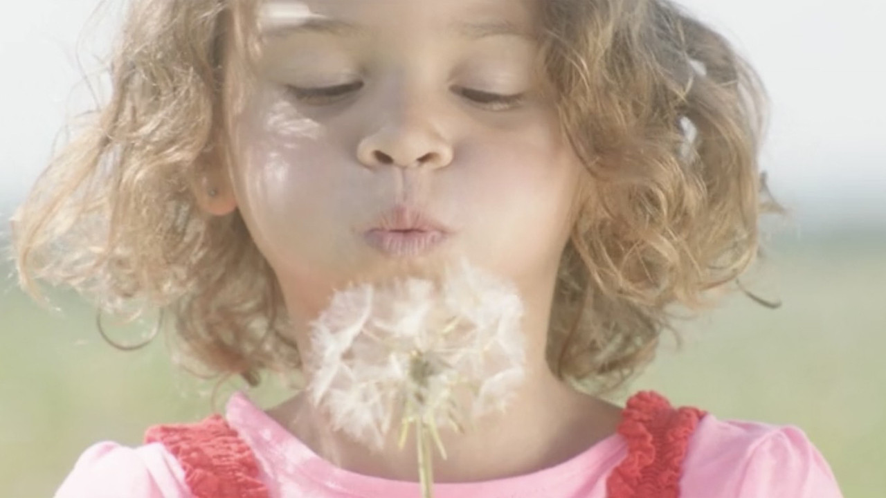 Backdrop for Dandelion