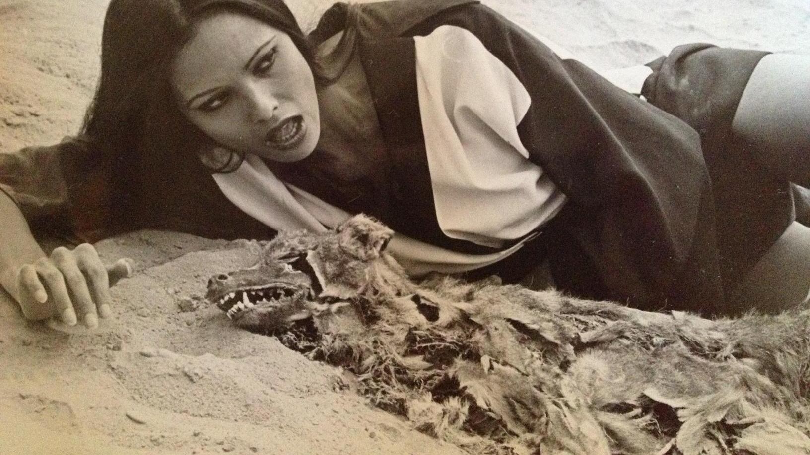 Backdrop for Black Velvet