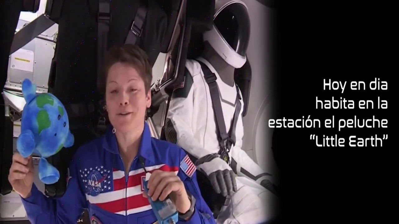 Backdrop for A Plushie's Dream