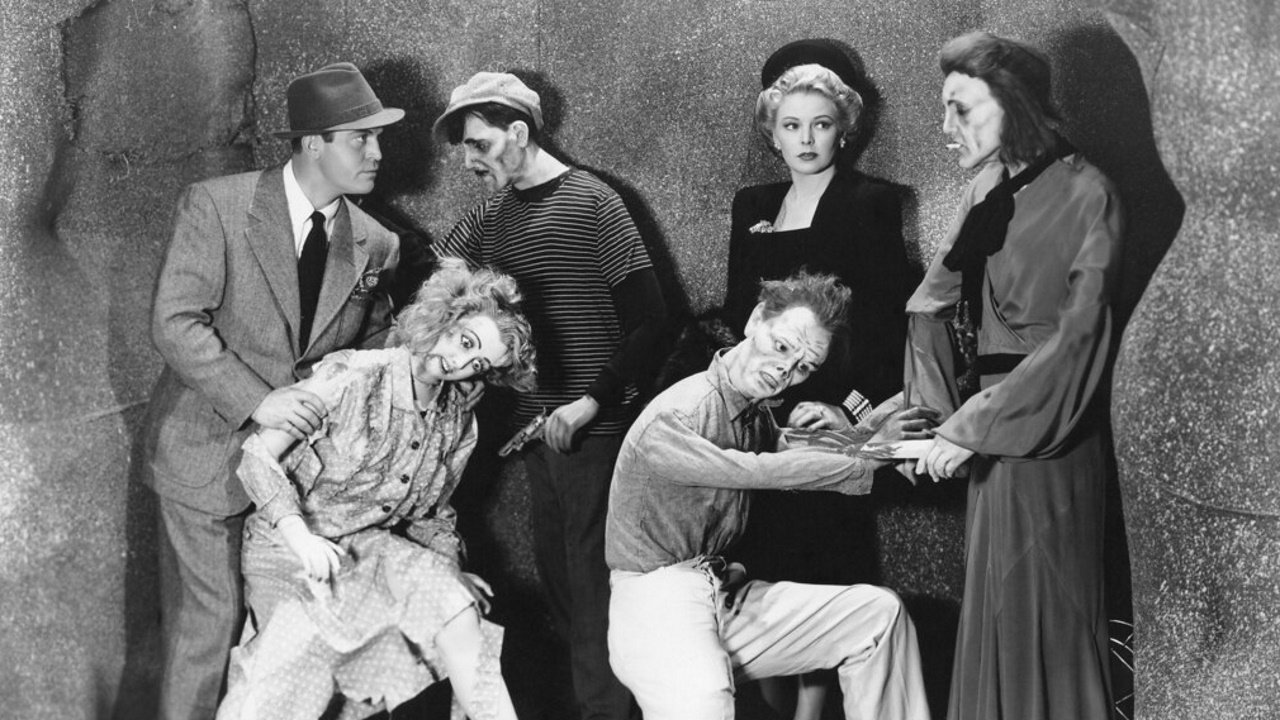 Backdrop for Meet Boston Blackie