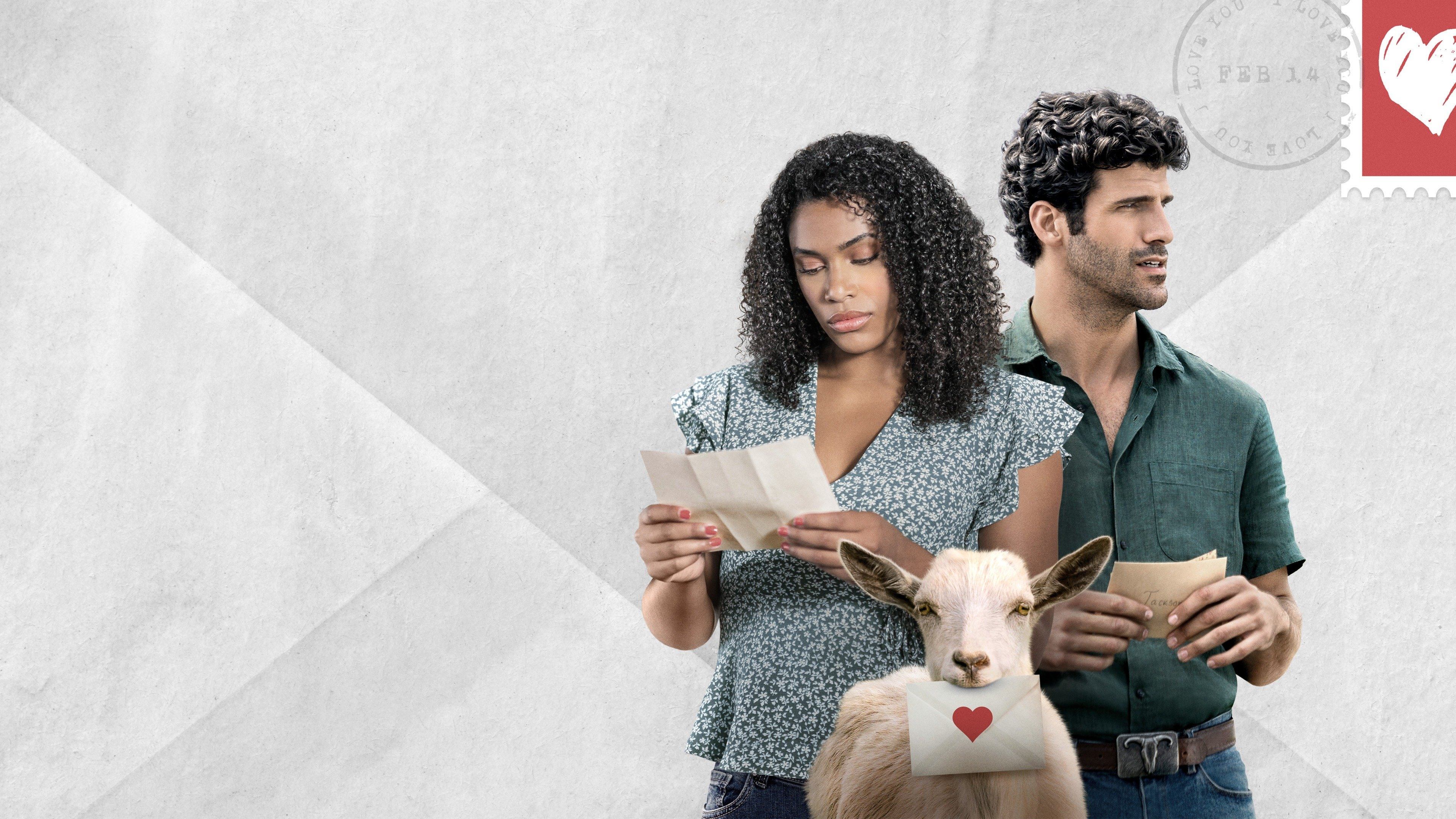 Backdrop for 14 Love Letters