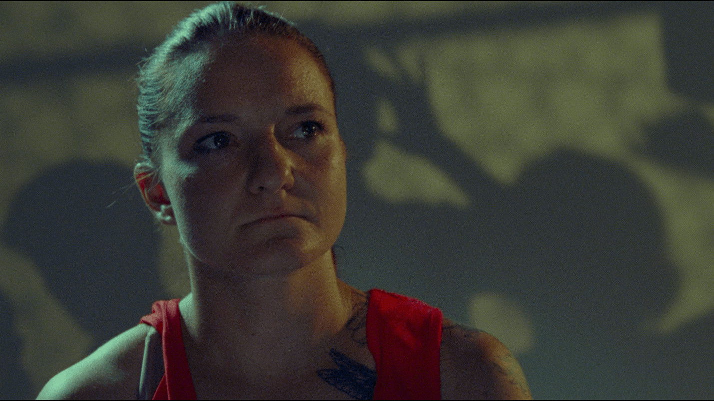 Backdrop for Honey Bunny Duracell