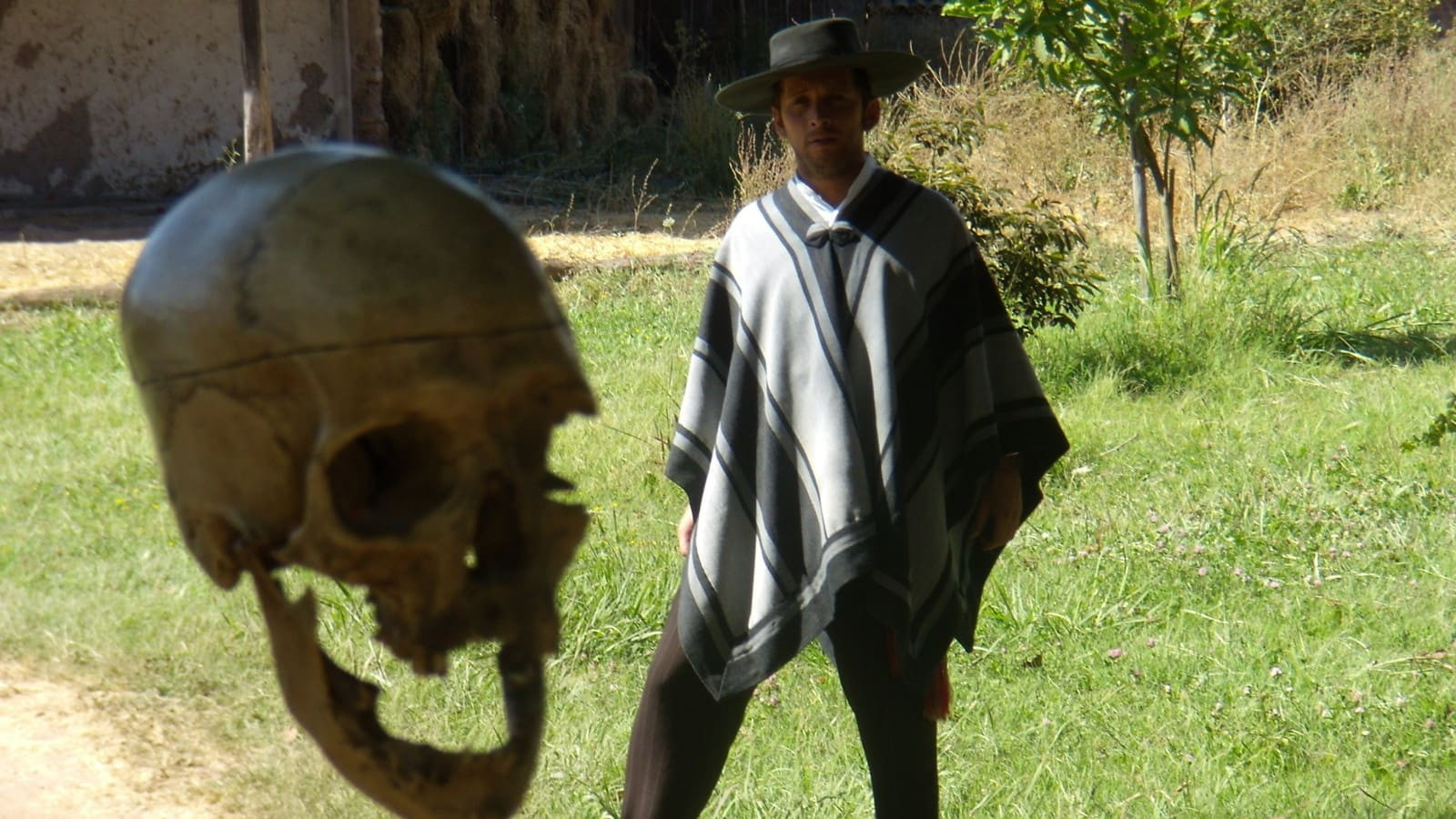 Backdrop for La Recta Provincia