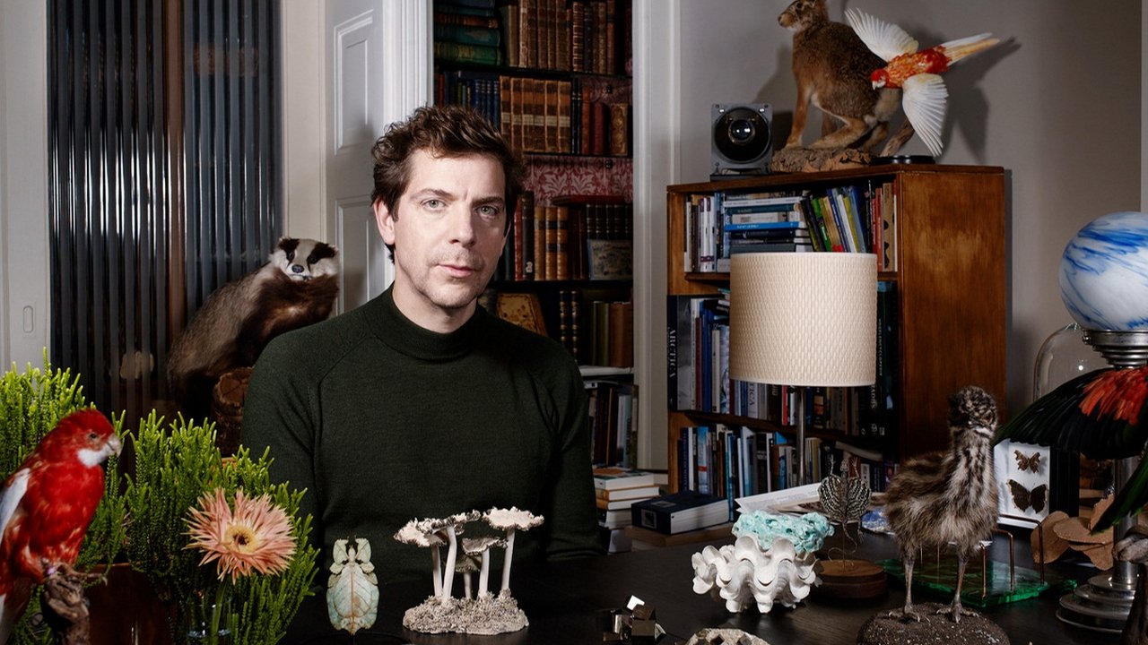 Backdrop for Dr. Nasr's Wunderkammer