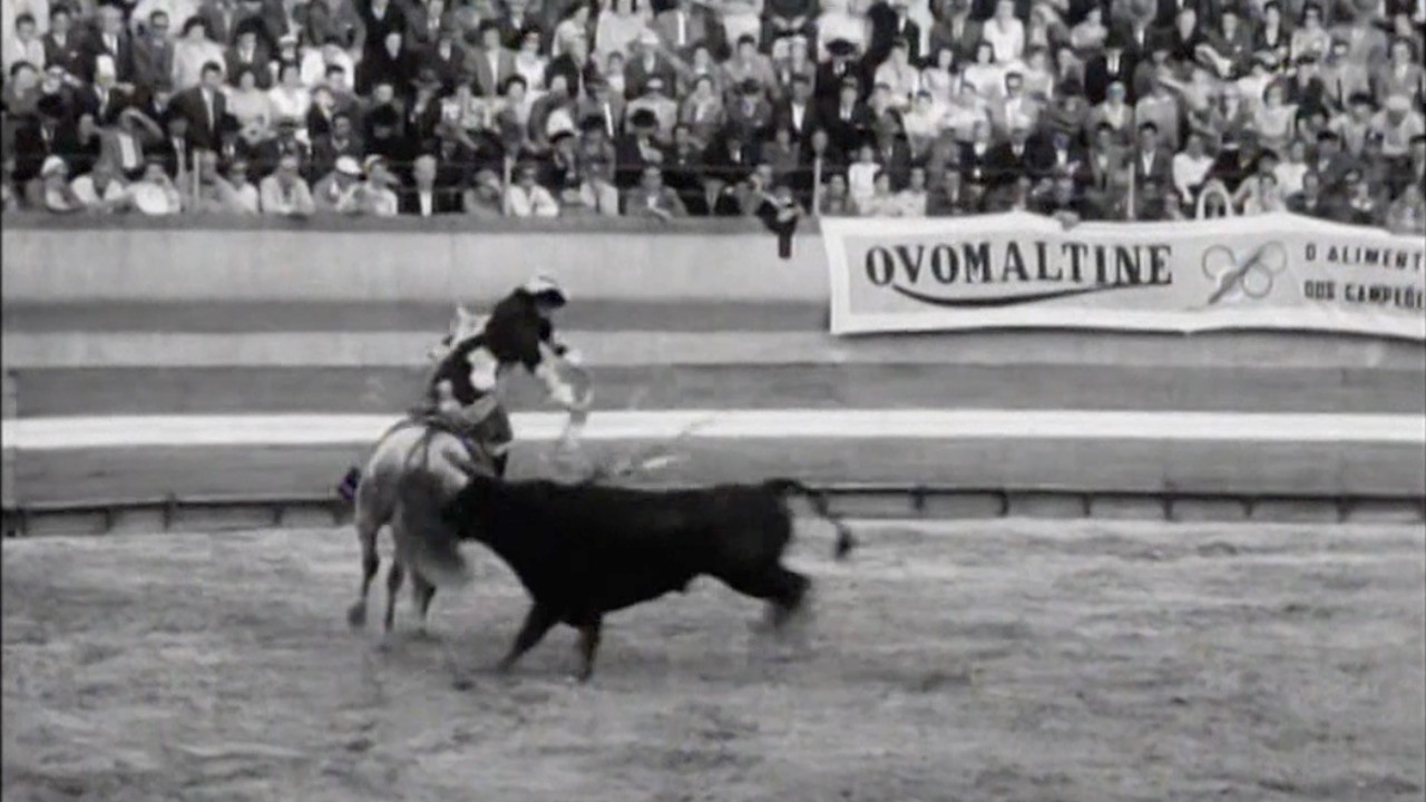 Backdrop for Born to Fight