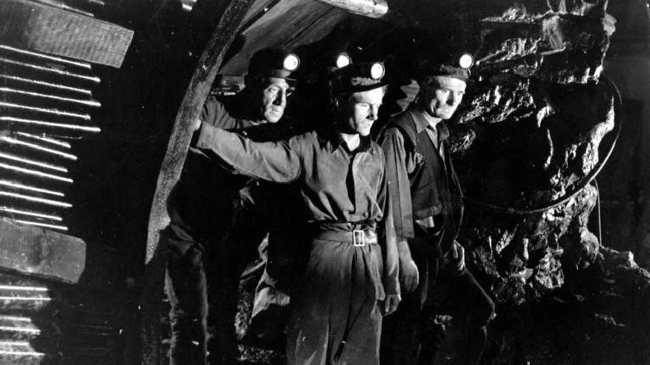 Backdrop for The Brave Don't Cry