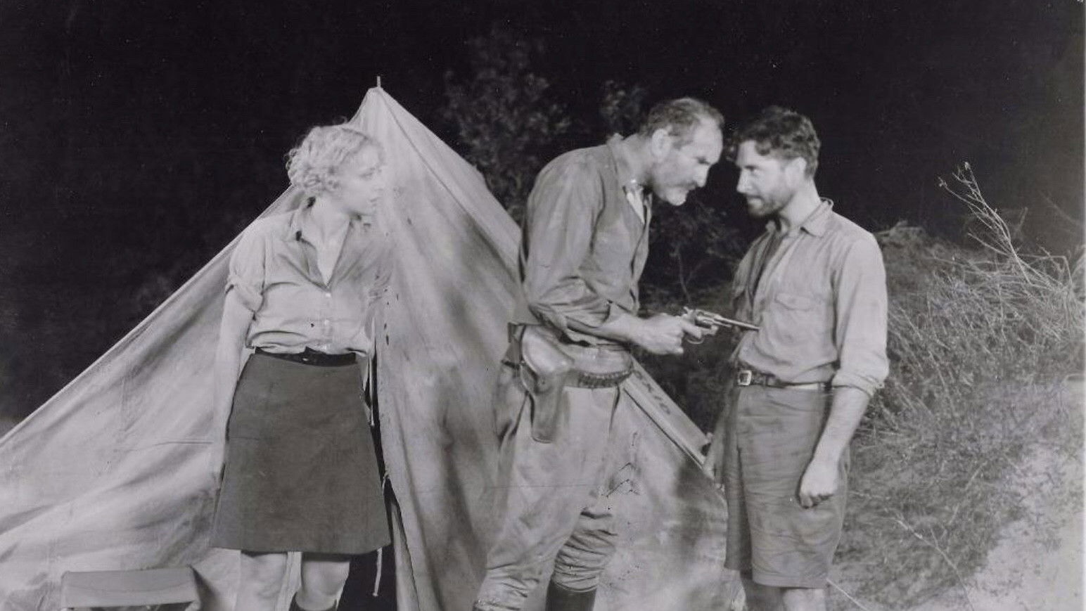 Backdrop for Desert Nights