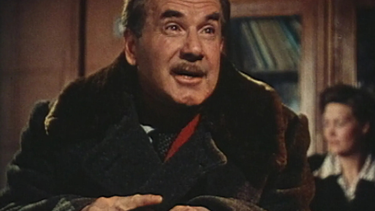 Backdrop for Crazy Day