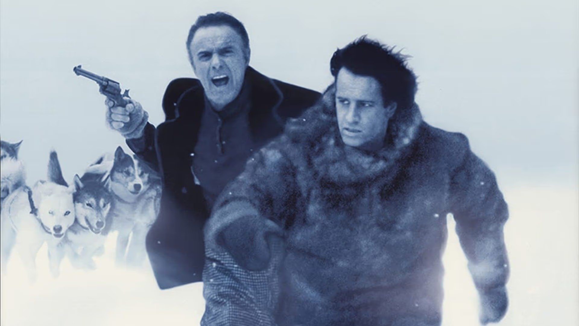 Backdrop for North Star