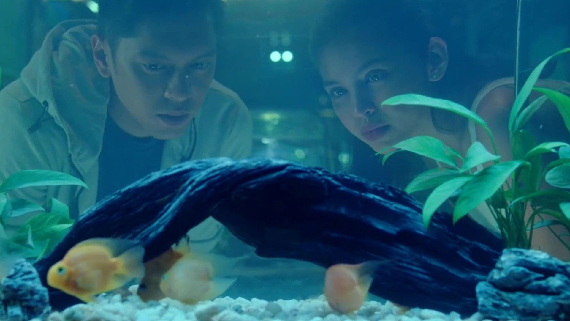 Backdrop for Isa Pa, with Feelings