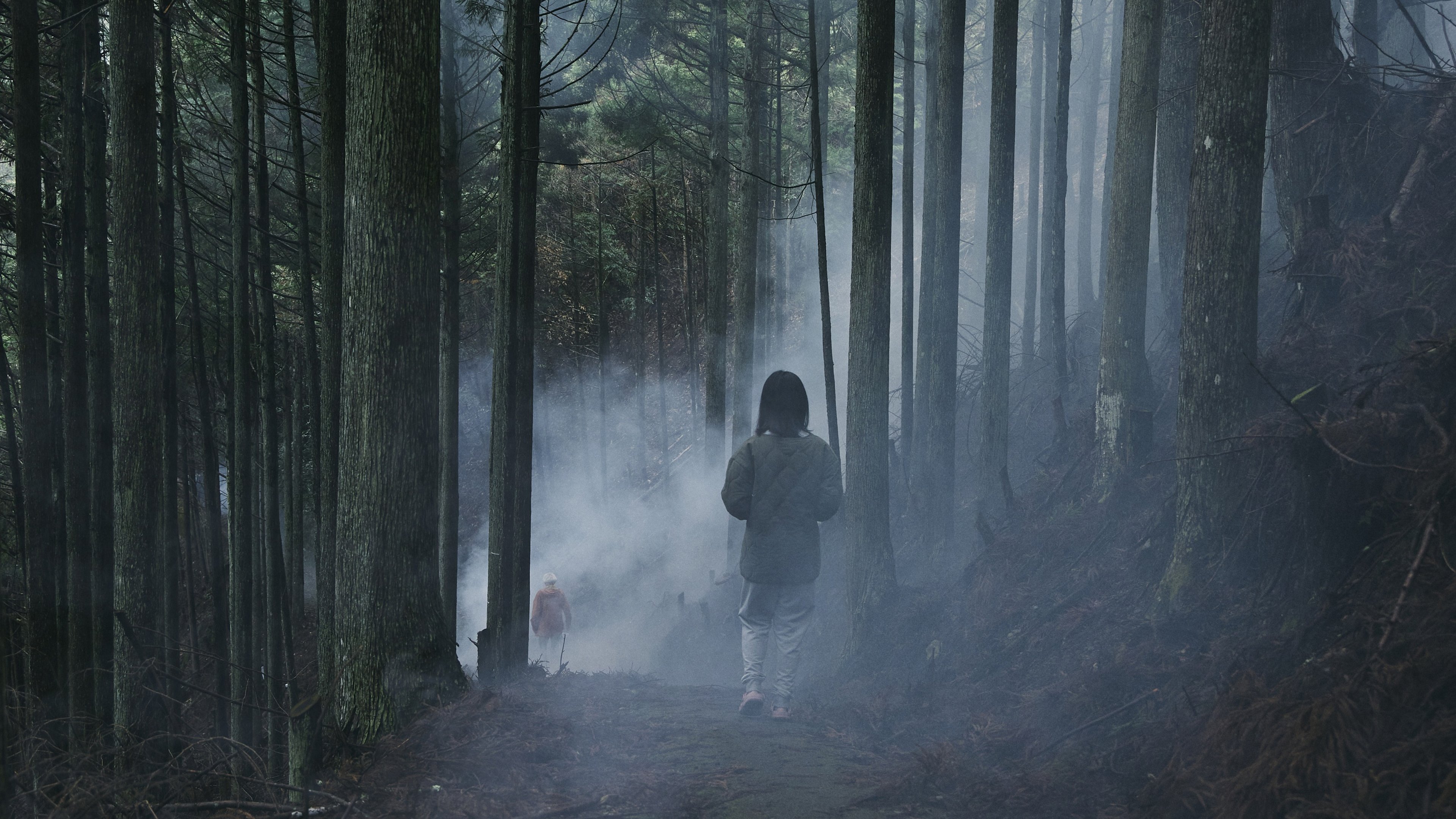 Backdrop for Beyond the Fog