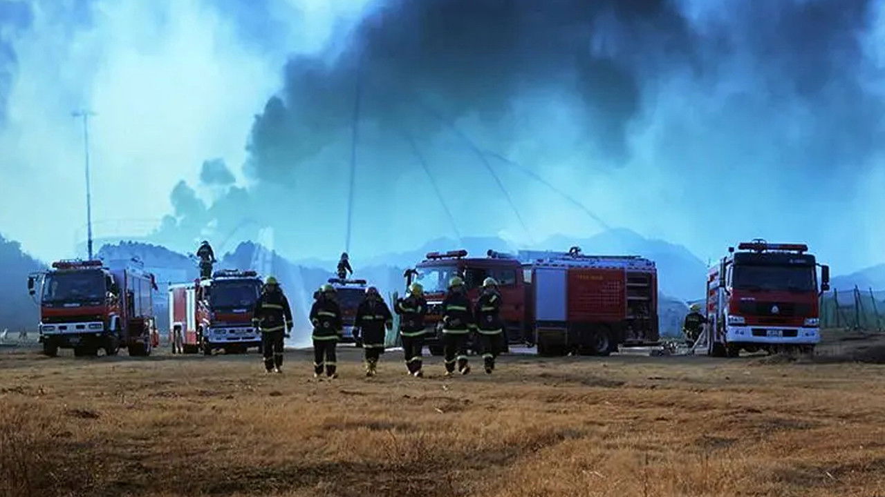 Backdrop for Flaming Youth