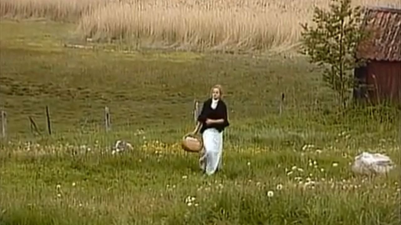 Backdrop for The Freethinker