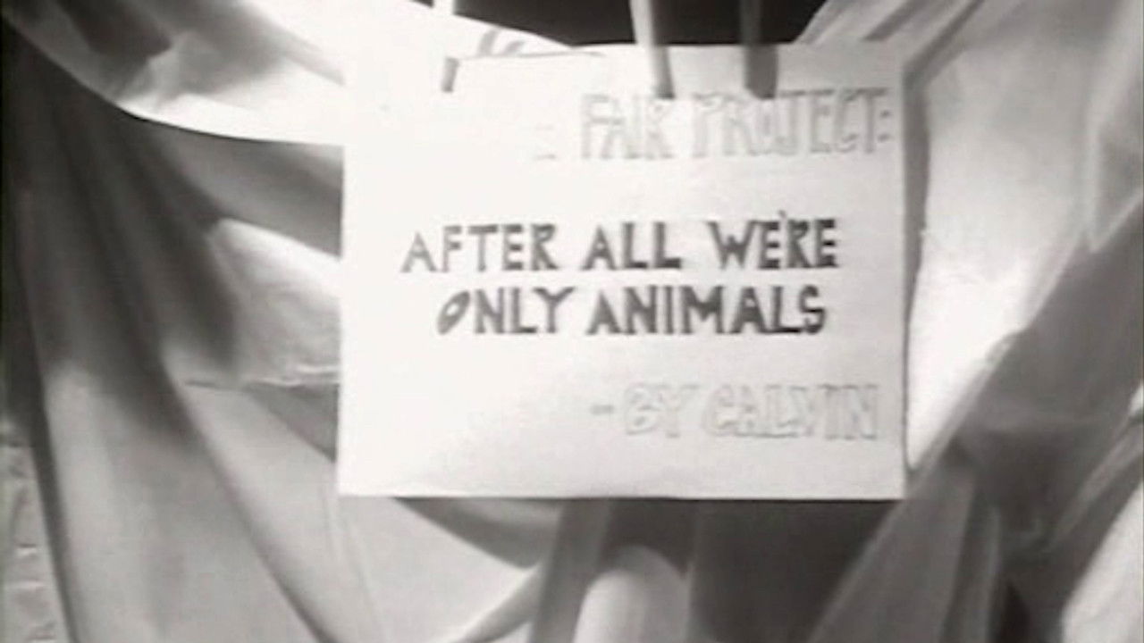 Backdrop for After All