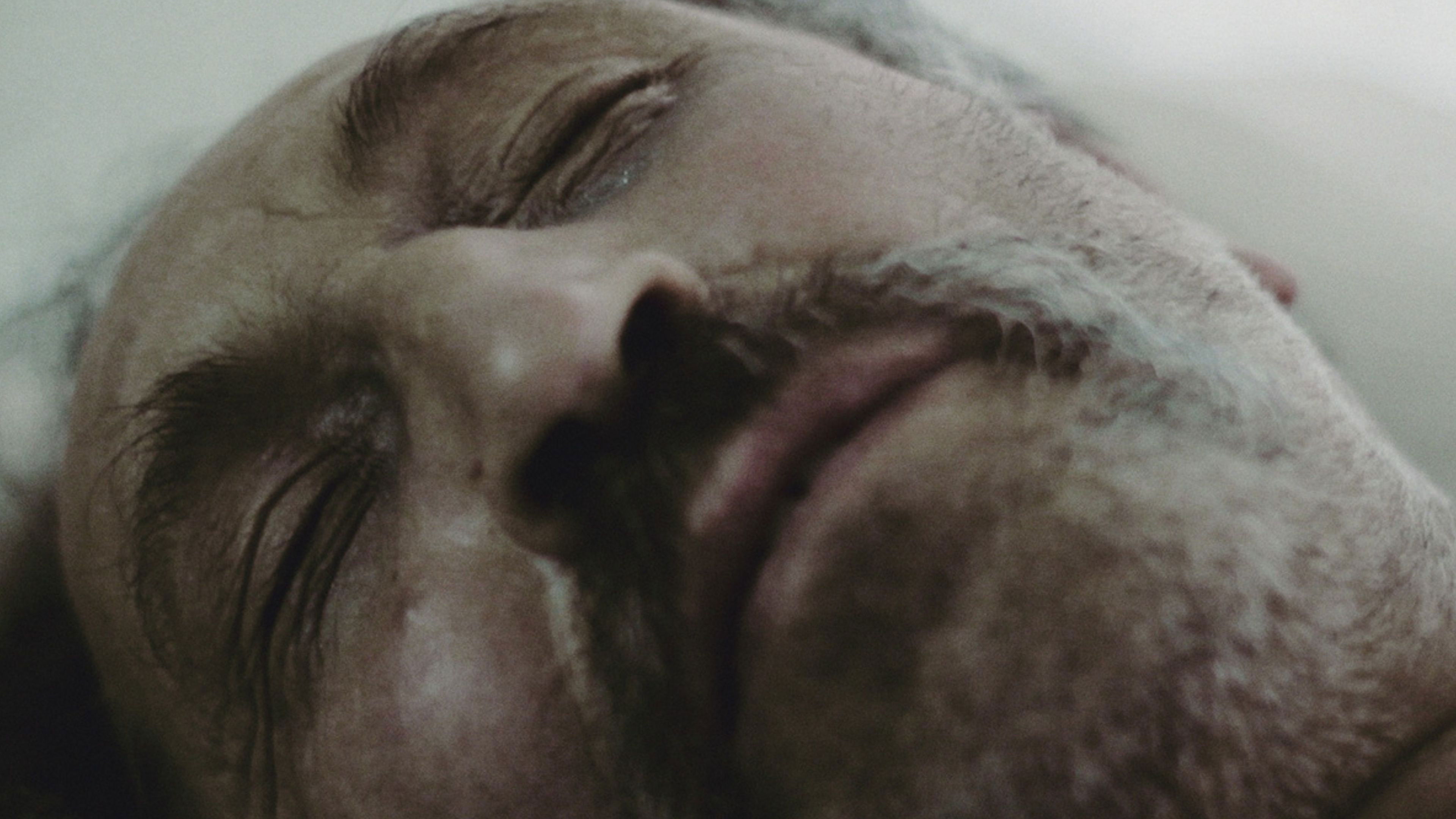 Backdrop for Anthropos