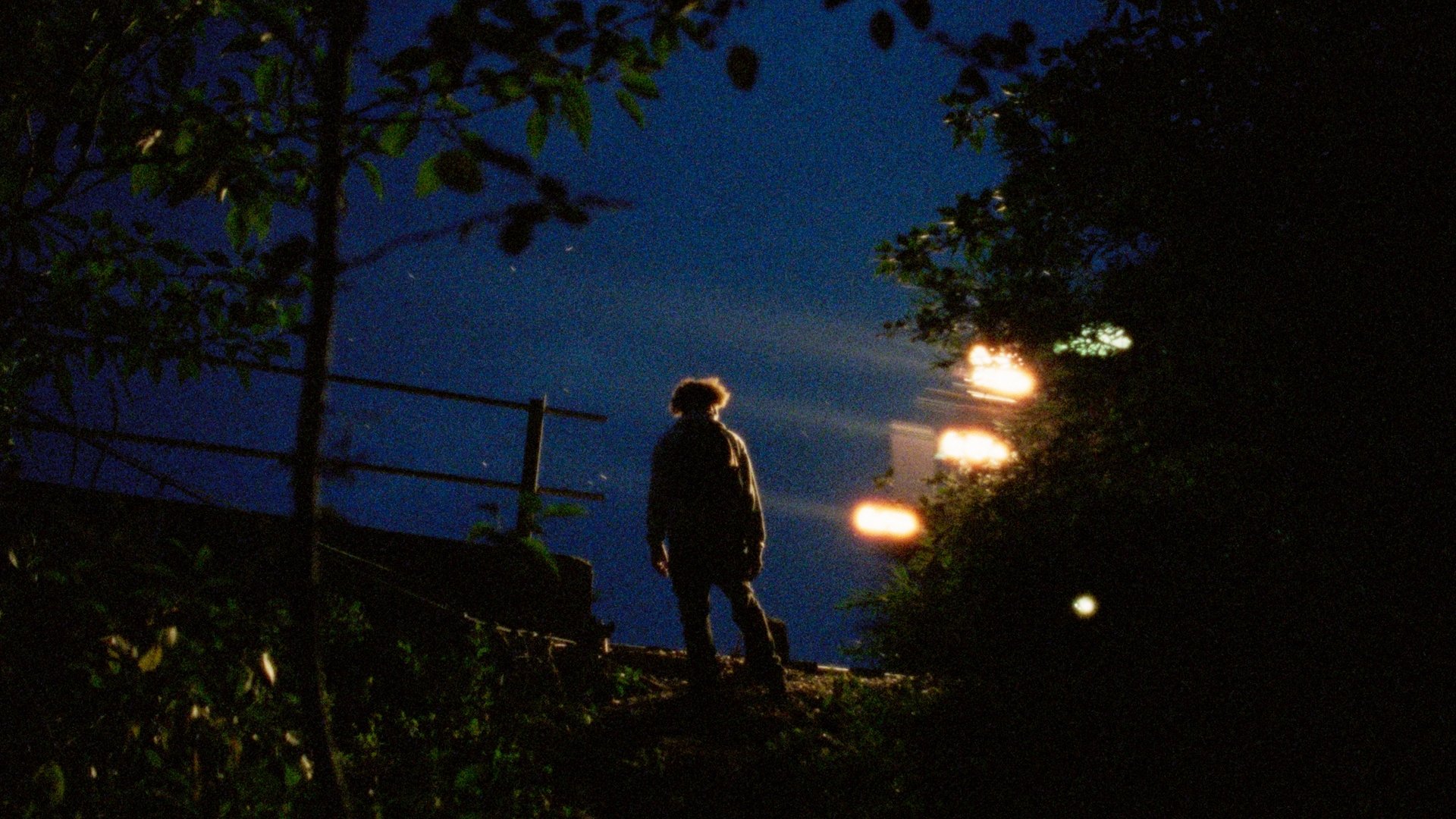 Backdrop for The Maiden