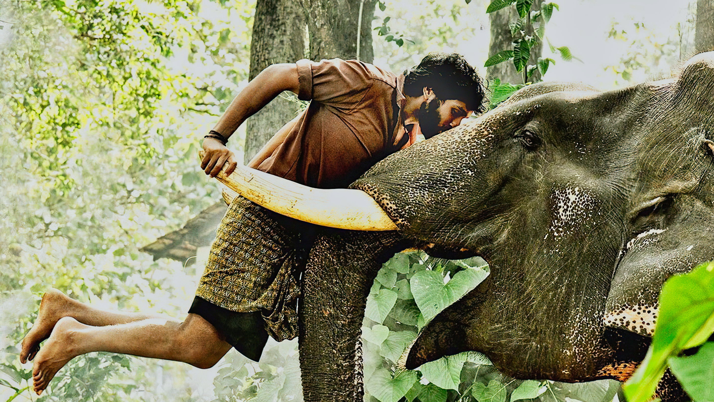 Backdrop for Kumki