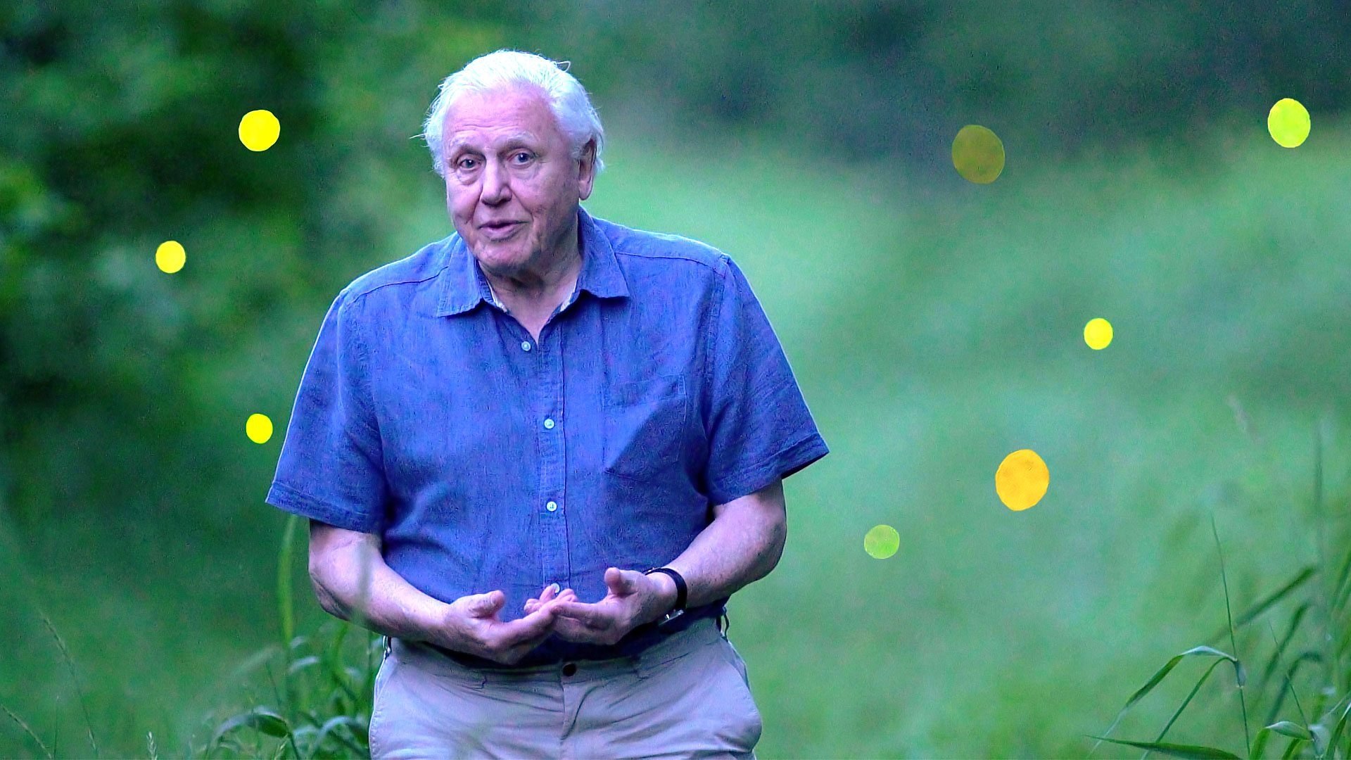 Backdrop for Attenborough's Life That Glows