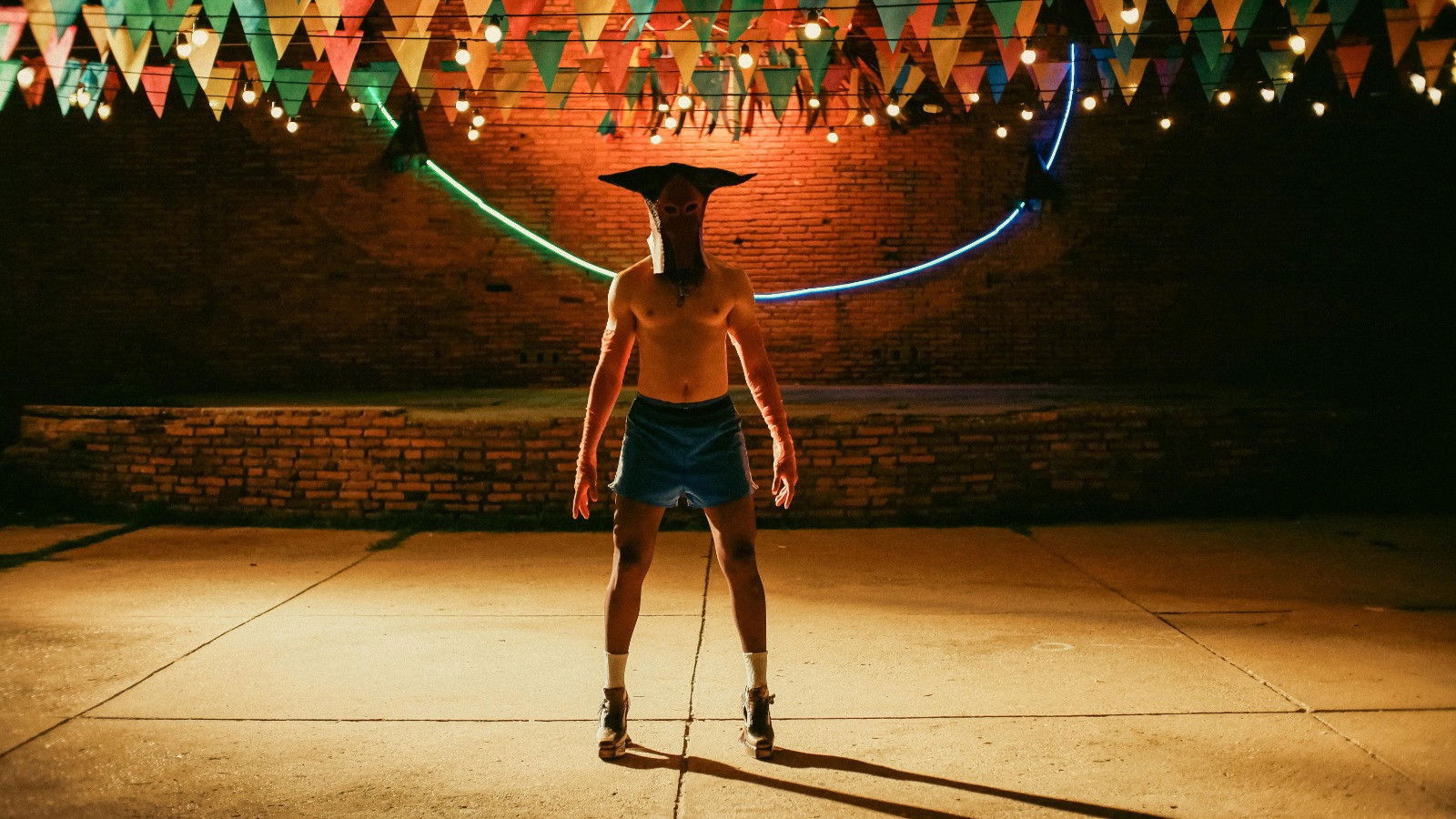 Backdrop for Boi de Salto