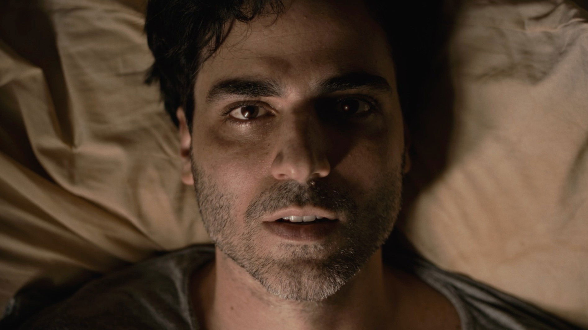 Backdrop for Schrödinger