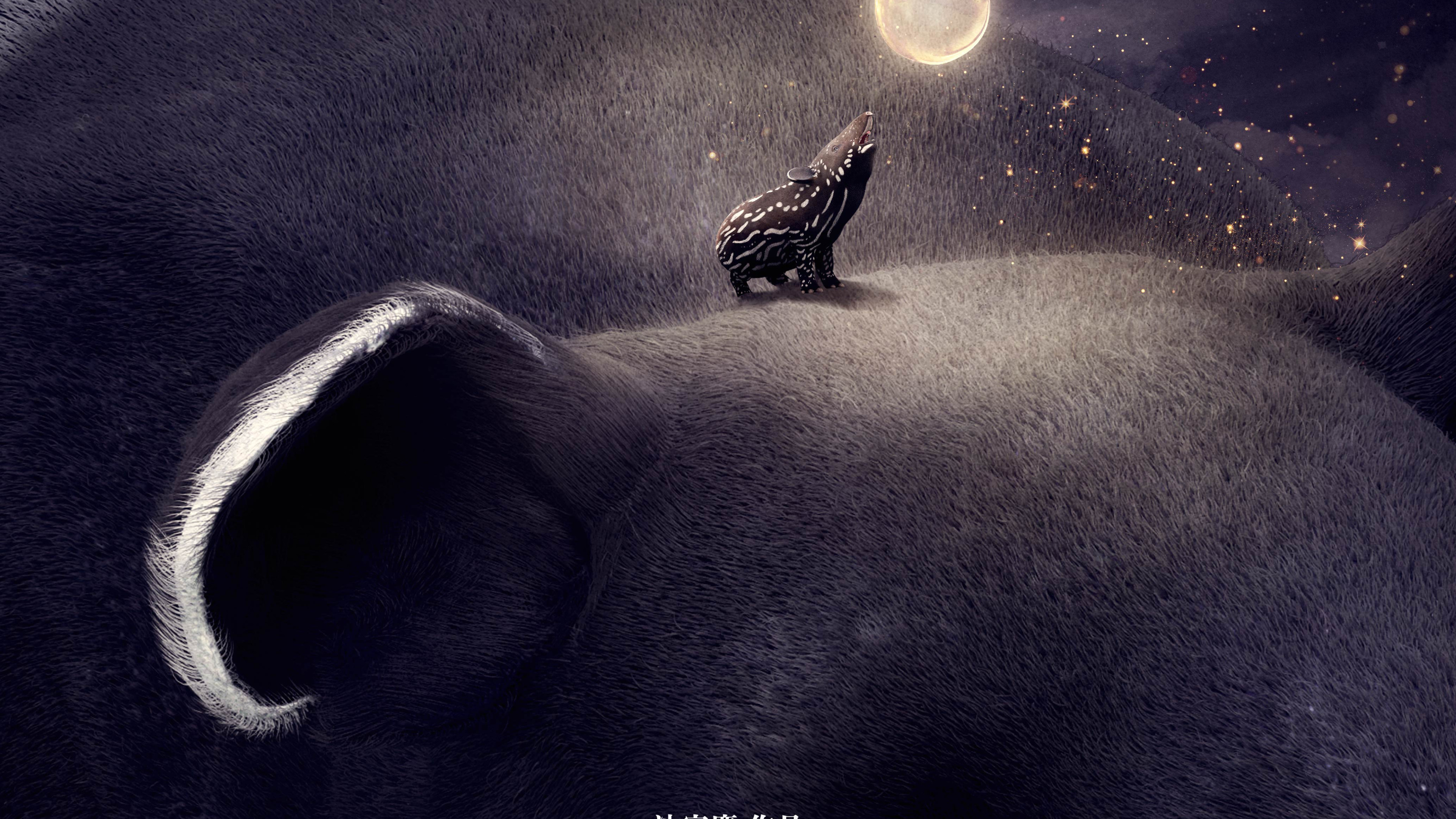 Backdrop for Hello! Tapir