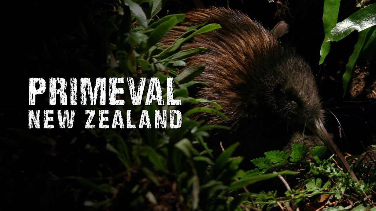 Backdrop for Primeval New Zealand
