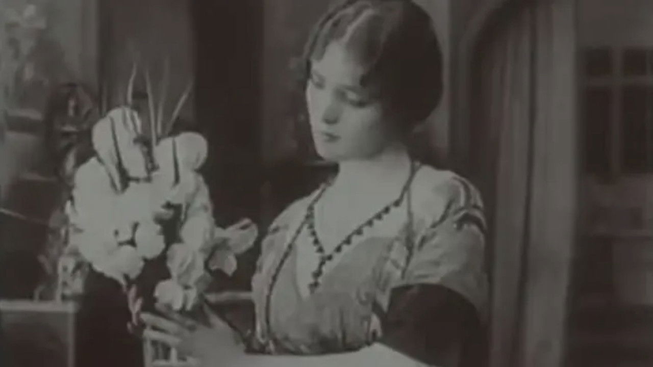 Backdrop for The Heart and the Money