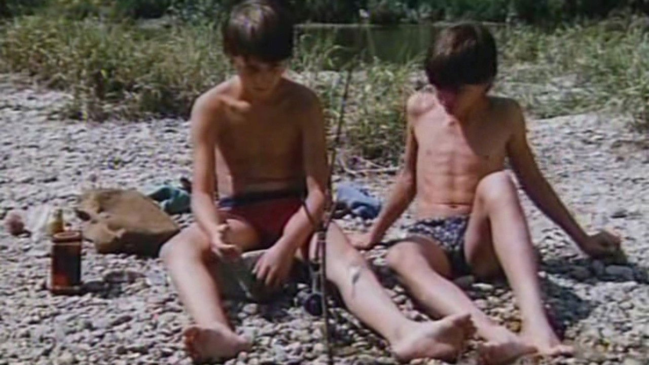 Backdrop for Jays in the Head