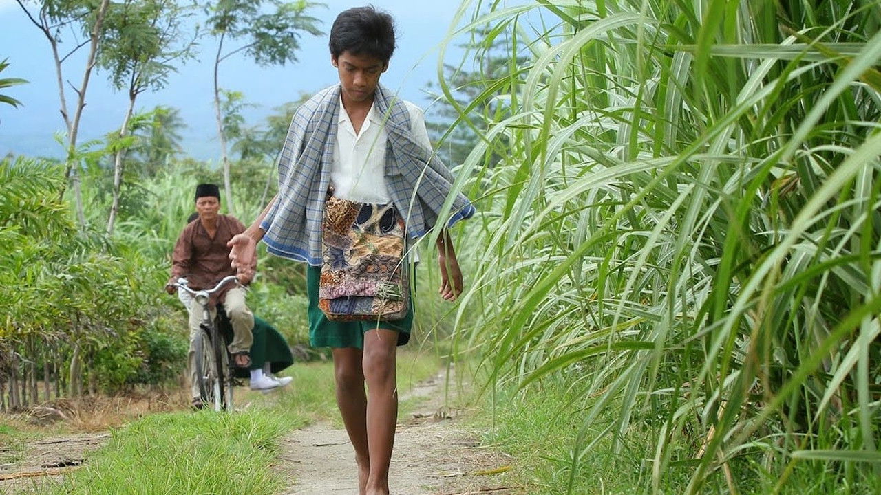 Backdrop for Sepatu Dahlan