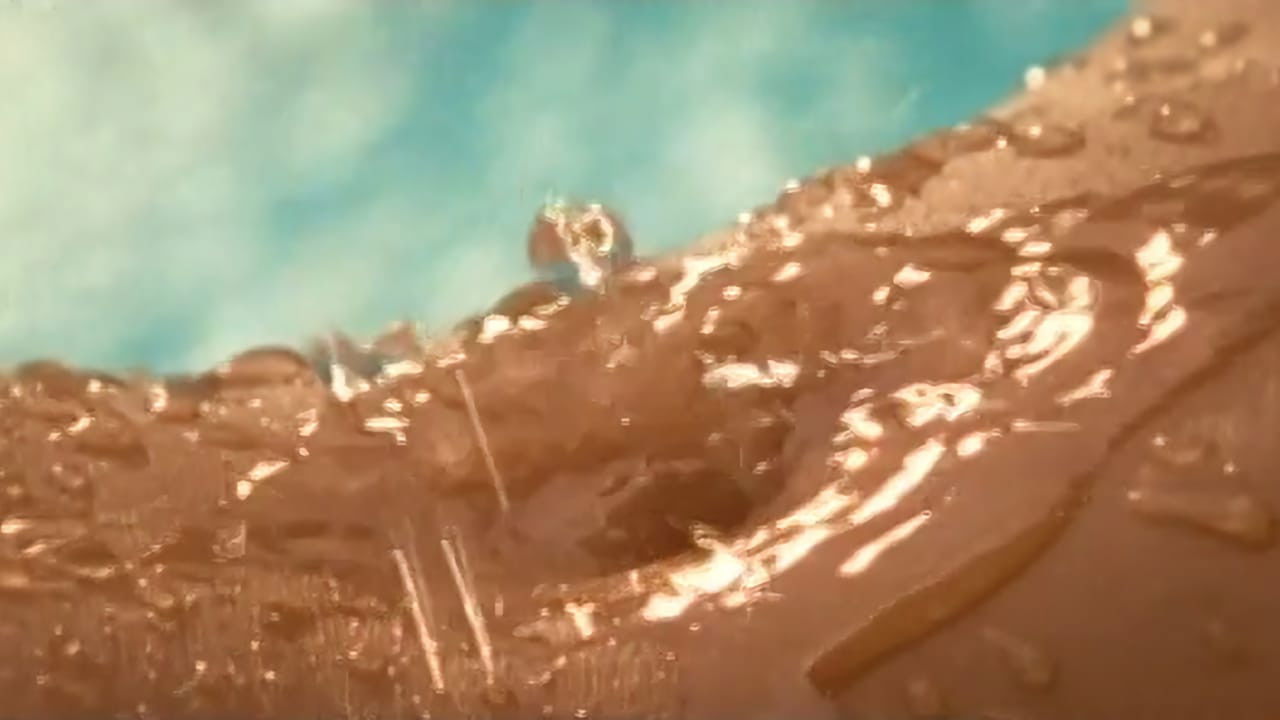 Backdrop for Playboy: Wet & Wild V