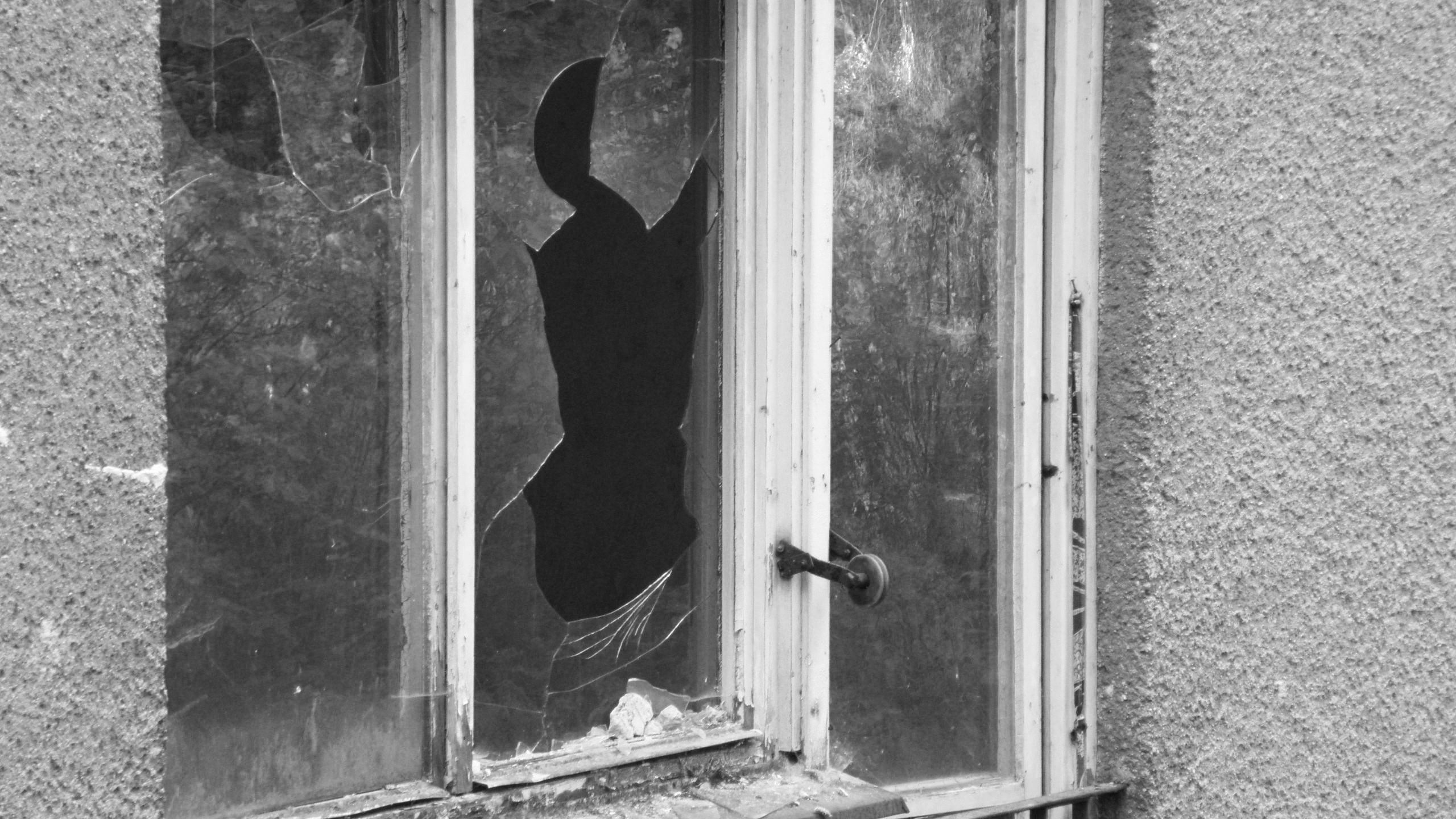 Backdrop for Med politiets øjne